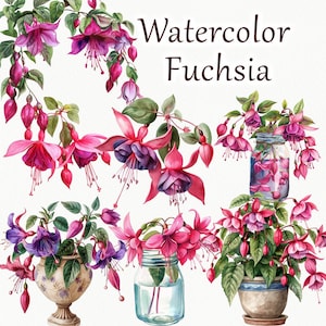 Clipart acquerello fucsia. Clipart estate fiori fucsia. Clipart di pianta fucsia in vaso. Clipart bordo rosa fucsia. PNG floreale primaverile