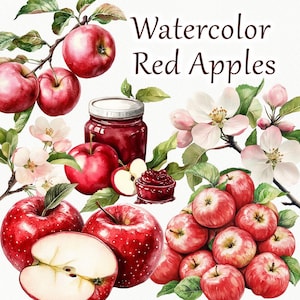 Clipart aquarelle pomme rouge. Pommes, été Clipart. Pommier Clipart. Des plantes florales d'été, des plantes florales d'été PNG