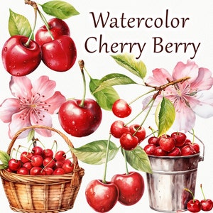 Imágenes Prediseñadas de acuarela de cereza y bayas. Clipart de verano de cerezas. Imágenes prediseñadas de flor de cerezo. Imágenes Prediseñadas de flores de bayas, plantas florales de primavera PNG
