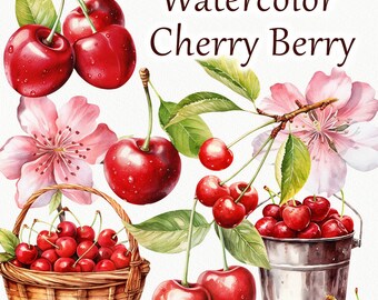 Cherry Berry Watercolor Clipart. Cherry summer Clipart. Cherry flower Clipart. Berry flower clipart, spring floral plants PNG