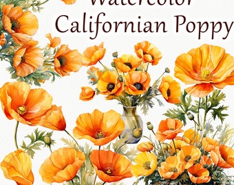 Poppy Watercolor Clipart. Californian Poppy Clipart. Poppy Floral blooming Clipart. Yellow poppy flower clipart, spring floral plants PNG