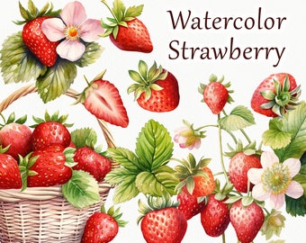Strawberry Watercolor Clipart. Strawberry summer Clipart. Strawberry plant Clipart. Berry flower clipart, spring floral plants PNG