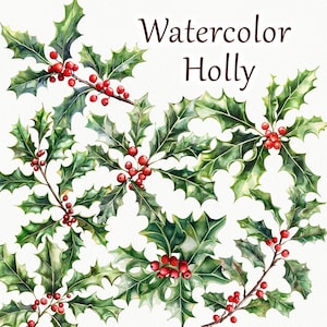 Clipart de acebo en acuarela. Clipart de rama de acebo de invierno. Clipart de planta de acebo. Plantas navideñas PNG.