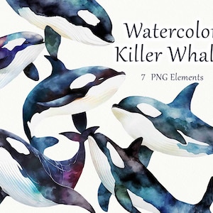 Clipart de baleia assassina em aquarela. Clipart de baleia. Clipart aquarela do oceano. Vida marinha. Animal Oceano PNG. Clipart aquarela da família orca