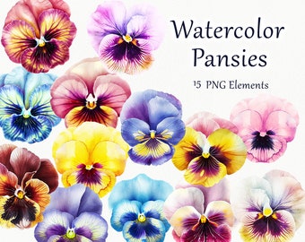 Watercolor Pansy Flowers Clipart. Pansy Flowers Clipart. Floral Pansy Clip Art. Purple pansies flower clip art, spring floral plants PNG
