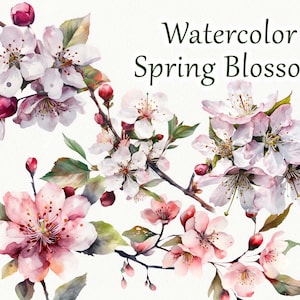 Clipart aquarela de flor de primavera. Clipart de flores de primavera. Clipart floral florescendo. Clipart De Flor Rosa, Plantas Florais De Primavera PNG