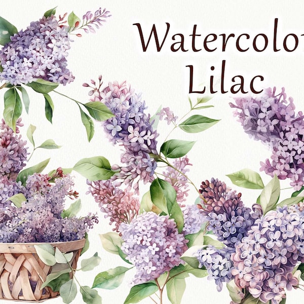 Lilac Clipart. Watercolor violet flower Illustration. Floral clipart. Lilac violet  Flowers. Farnhouse Wedding Invitations PNG