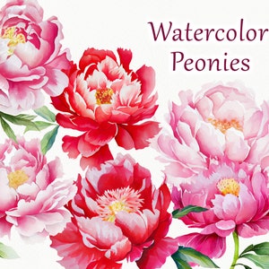 Pfingstrose Clipart. Aquarell rosa Blume Illustration. Blumen Clipart. Pfingstrosen rote Blumen. Boho Hochzeitseinladungen PNG