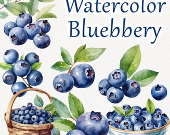 Blueberry Watercolor Clipart. Blueberry summer Clipart. Blueberry plant Clipart. Berry clipart, summer floral plants PNG