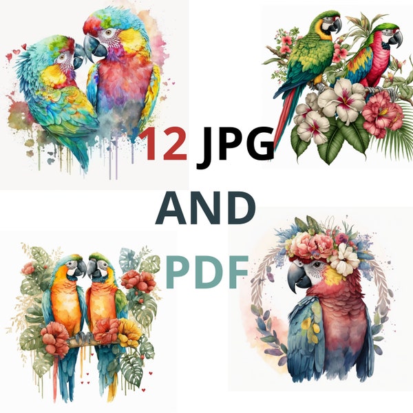 Watercolor Parrot Clipart - Tropical birds, flower, leaves, PNG format, instant download commercial use, best seller