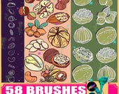 Nuts Line Art Brushes for Procreate & Photoshop (58)