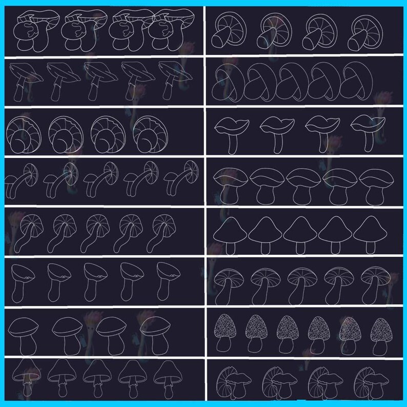 Mushroom Brush Set: Fungi Procreate & Photoshop Stamps - Etsy