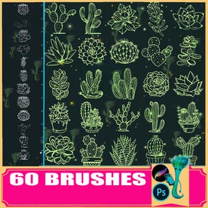procreate brush ps brush succulent cactus succulent bonsai potted gardening flower pot hand-painted flower, photoshop