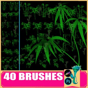 Ink Bamboo Procreate & Photoshop Brushes: Chinese Painting (40 Brushes)