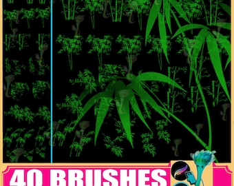 Ink Bamboo Procreate & Photoshop Brushes: Chinese Painting (40 Brushes)