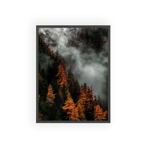 Könnte beinhalten: Eine neblige Waldszene mit hohen, dunkelgrünen Bäumen und ein paar leuchtend orangefarbenen Bäumen im Vordergrund. Der Nebel ist dick und weiß und erzeugt eine geheimnisvolle und ätherische Atmosphäre.