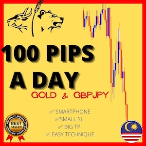 100 pips a day forex technique