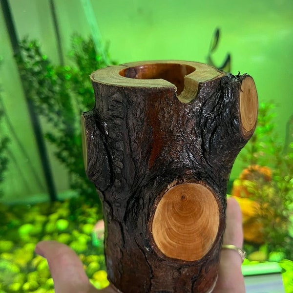 tree trunk varnished ash trays (fire proofed)