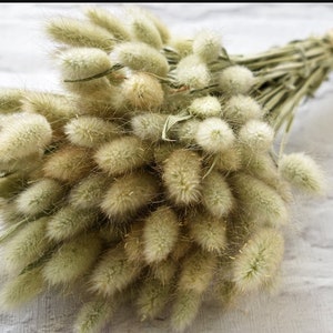 Flores naturalmente secas lagurus Boho Convites de casamento Buquê de noiva Decoração de casa Favores de casamento. caudas de coelho naturais