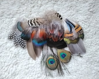Feather mix, feather assortment, natural feathers
