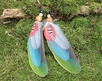 Feather jewelry: feather pendants, feather earrings