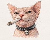 Funny Sphynx PNG, Meme Clipart, Pet Lover Gift, Digital Download, Punk Style Design