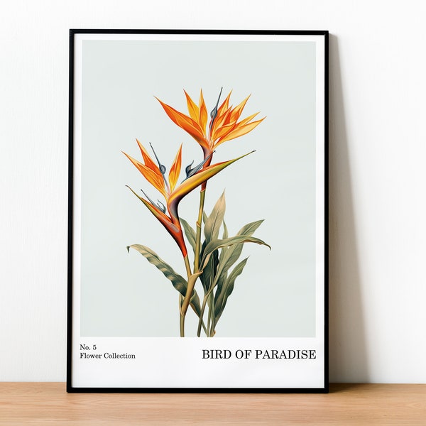 Paradiesvogel-Blumen-Wandkunst | Strelitzia Blumendruck | Blumendruck | Vintage Botanische Wandkunst | Wohndekoration | Blumenmarkt