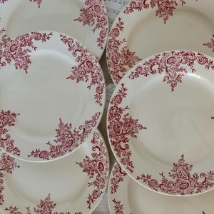 6 flat plates Louis XV ironstone Boulenger Choisy Le Roi early 20th century - Antique French tableware - 1900s French vintage
