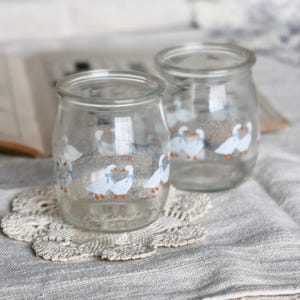 Può includere: Due barattoli di vetro trasparente con coperchi, decorati con un motivo di oche bianche con fiocchi blu e piedi arancioni. I barattoli sono su un centrino di pizzo bianco e una superficie di lino.