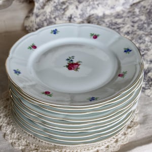 10 vintage Cérabel porcelain dinner plates by Baudour - Floral pattern and gold border - Antique tableware
