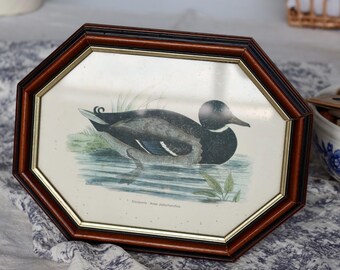 May include: An antique framed print of a duck in a pond. The frame is a dark brown, octagonal shape with a gold inner border. The duck is depicted in shades of black, gray, and blue, with green foliage and water.