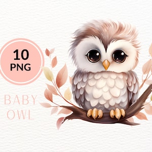 Baby Eule Clipart PNG Digital Download Eule mit Blume Baby Aquarell Clip Art Waldtier Eulenkindergarten Blumen Clipart Baby Vogel