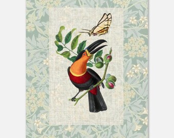 Gervais Bird & Botanical Series – Luxury Art Print with William Morris Mat