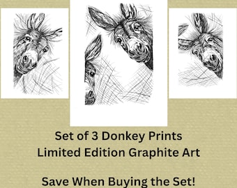 Set of 3 Donkey Prints – Limited Edition Unframed Graphite Wall Art, Farmhouse Animal Gallery