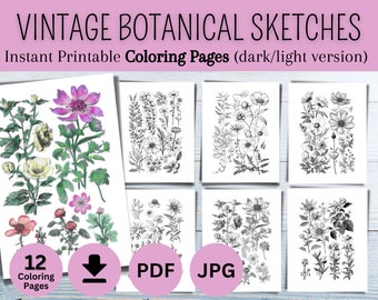12 Vintage Botanical Coloring Pages, Download and Print Instant, Digital Coloring Book, Coloring Pages, Coloring Templates, Sketchbook, pdf