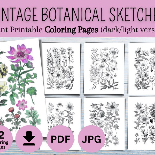 12 Vintage Botanical Coloring Pages, Download and Print Instant, Digital Coloring Book, Coloring Pages, Coloring Templates, Sketchbook, pdf