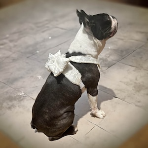 Hondenringkussen - Elegante accessoire voor bruiloften, ceremonies en speciale evenementen Handgemaakt met fijne stoffen