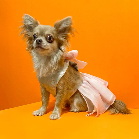 chihuahua bridesmaid dresses Coco Satin Dress