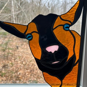 Stained Glass Window Frame Peeking Nigerian Dwarf Goat