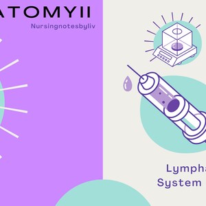 Anatomy II Lymphatic System Notes