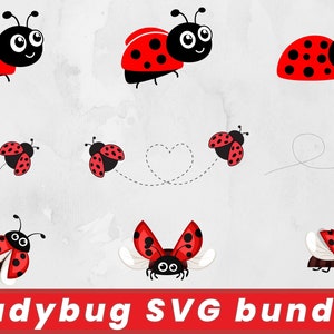 Pacchetto Svg Coccinella, Clipart Coccinella, Vettore Coccinella, Coccinella dell'amore png, Arte Miracolosa, compleanno svg