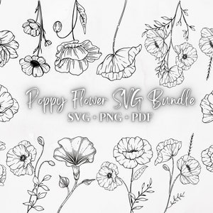 Mohn Line Art Clip Art, handgezeichnete Vektor-Illustrationen, Botanische Linie Kunst PNG, Mohnblumenbündel, für kommerzielle Nutzung