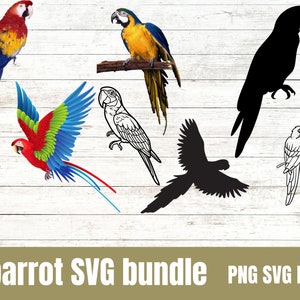 Papagei SVG, Papagei SVG schneiden Dateien, Brid svg, Papagei Cricut Papagei Clipart, Papagei svgbund, Papagei Kopf SVG, Papagei Kontur