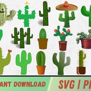 Cactus SVG Design, Cactus Svg Bundle, Pianta succulenta, Cactus Clipart, Fiore Svg, Fico d'India, Saguaro Cactus, Download digitale