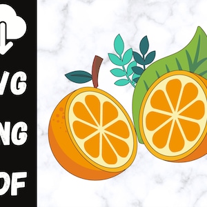 Orange Scheibe svgObst svg, Orange geschnitten, Sommer svg, Cricut, Sofort-Download, Orangenfrucht svg