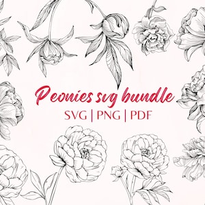 Pfingstrose Linie Kunst SVG, PNG, PDF, Umriss Pfingstrose Blume, Pfingstrose Clipart, Hochzeit Blume svg, Blumengesteck svg, Pfingstrosenblume