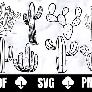 Cactus SVG, file SVG di Cactus per cricut, Bundle SVG di Cactus, file di taglio di Cactus, Sagome di Cactus, contorno di cactus SVG