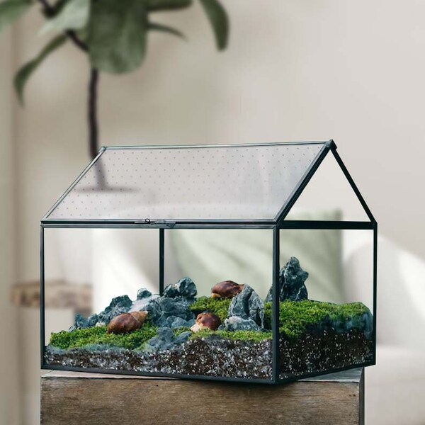 Glass Terrarium Etsy