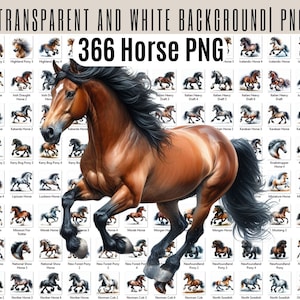 Paquete de 366 imágenes prediseñadas de caballos, pegatinas de imágenes prediseñadas de caballos, conjunto de imágenes prediseñadas de acuarela, uso comercial, sublimación, creación de tarjetas, PNG, ilustración de animales