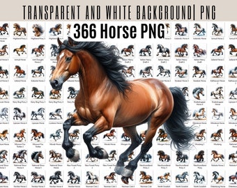 Op de afbeelding: Een digitale afbeelding met een bruin paard met een zwarte manen en staart, tegen een raster van 366 paarden PNG-afbeeldingen. De tekst "TRANSPARENT AND WHITE BACKGROUND | PNG" en "366 Horse PNG" zijn zichtbaar.